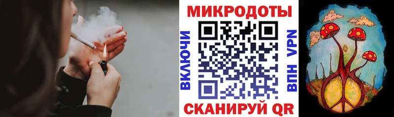 Галлюциногенные грибы Cubensis  Михайловск 